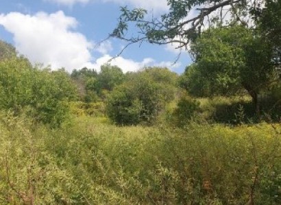 Drymou, Paphos Residential Field For Sale | WW31281