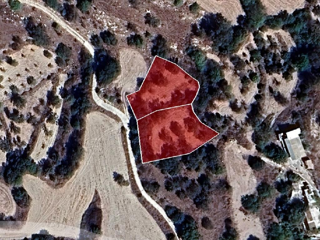 Field - Drymou, Paphos