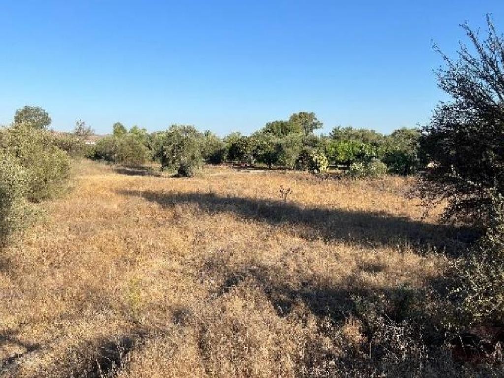 Pera Chorio, Nicosia Residential Field For Sale | WW31314