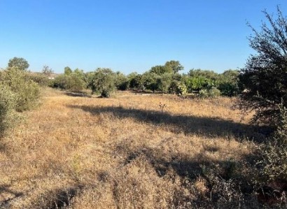 Pera Chorio, Nicosia Residential Field For Sale | WW31314