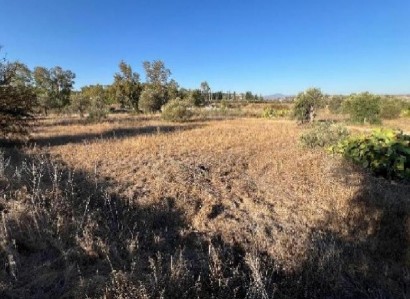 Pera Chorio, Nicosia Residential Field For Sale | WW31314