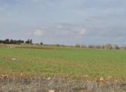 Frenaros, Famagusta Agricultural Field For Sale | WW31326