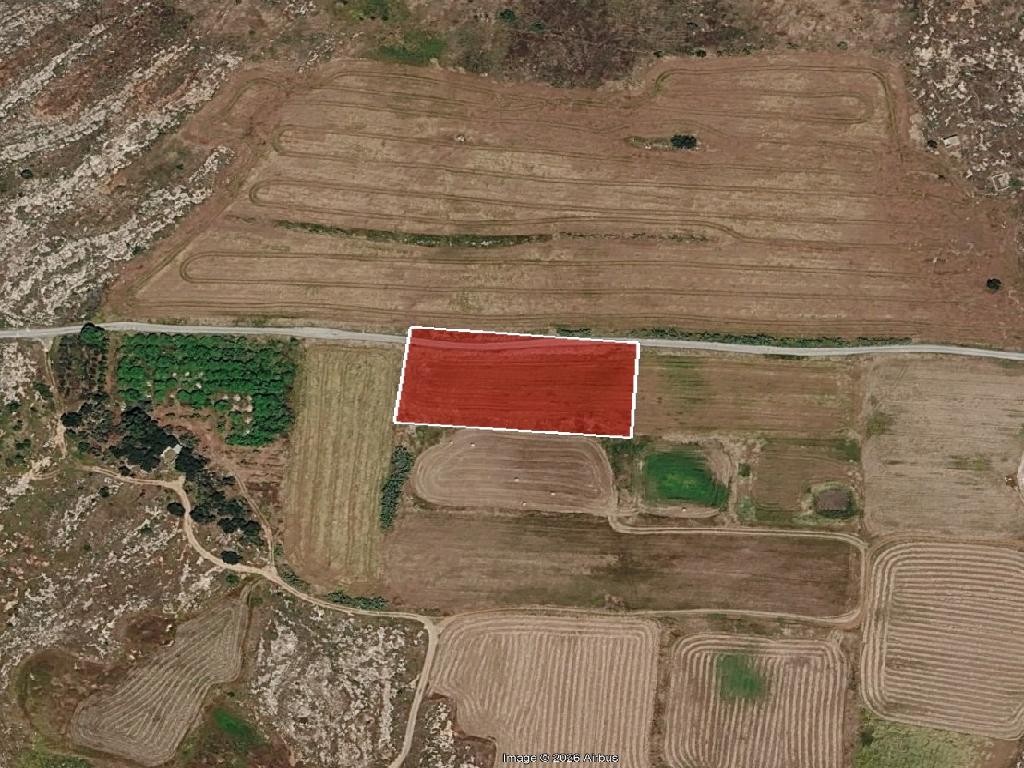 Field - Frenaros, Famagusta