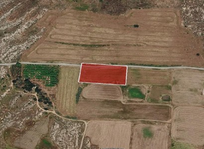 Frenaros, Famagusta Agricultural Field For Sale | WW31326