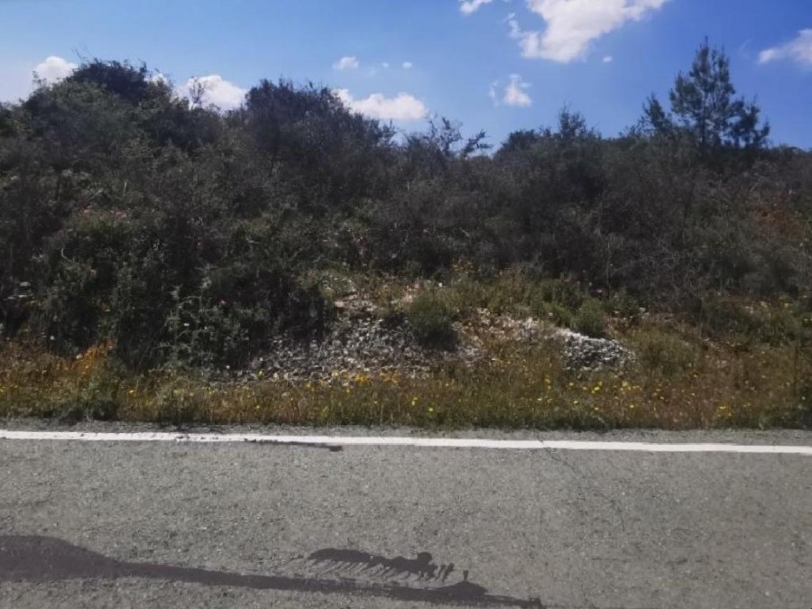 Kritou Tera, Paphos Agricultural Field For Sale | WW26693