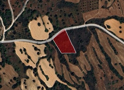 Kritou Tera, Paphos Agricultural Field For Sale | WW26693