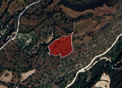 Kritou Tera, Paphos Agricultural Field For Sale | WW26694