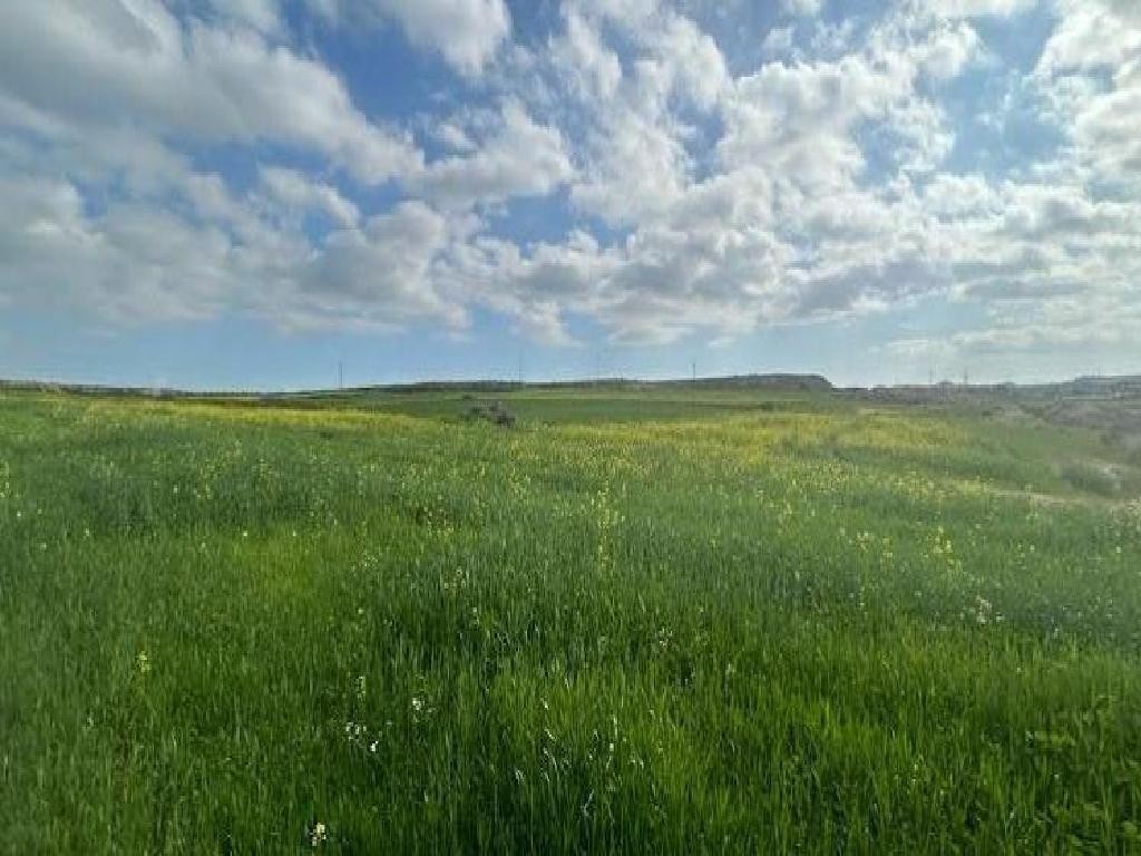 Geri, Nicosia Agricultural Field For Sale | WW31344