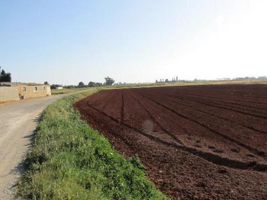 Avgorou, Famagusta Agricultural Field For Sale | WW31354