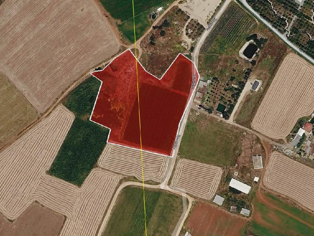 Field - Avgorou, Famagusta