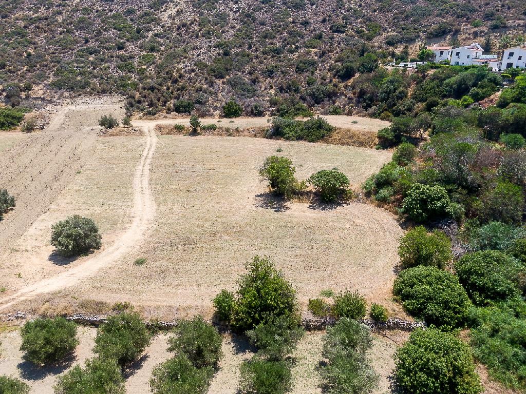 Touristic field - Pissouri, Limassol