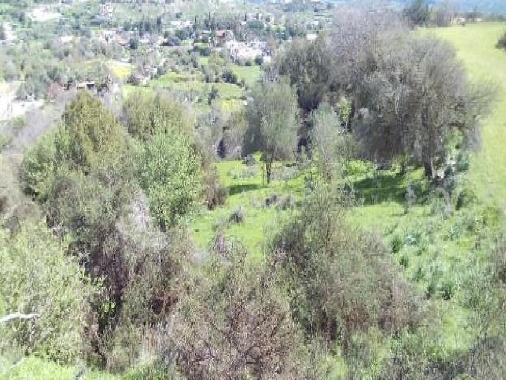 Letymvou, Paphos Agricultural Field For Sale | WW31429