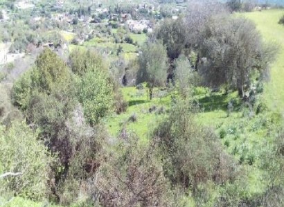 Letymvou, Paphos Agricultural Field For Sale | WW31429