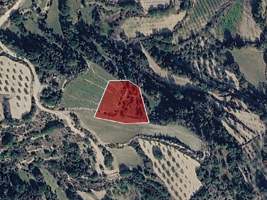 Field - Letymvou, Paphos