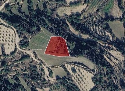 Letymvou, Paphos Agricultural Field For Sale | WW31429