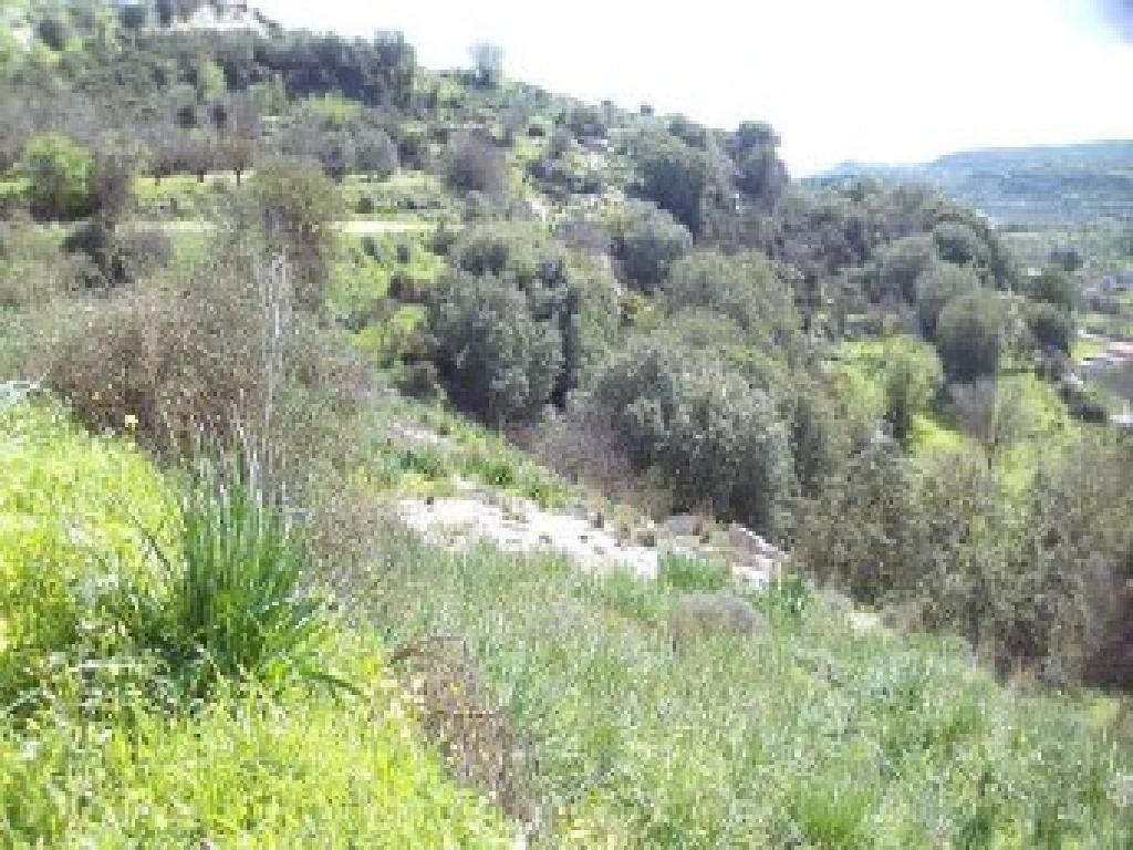 Letymvou, Paphos Agricultural Field For Sale | WW31430