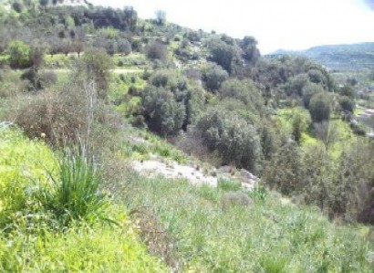 Letymvou, Paphos Agricultural Field For Sale | WW31430