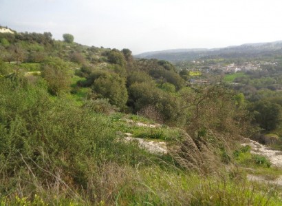 Letymvou, Paphos Agricultural Field For Sale | WW31430