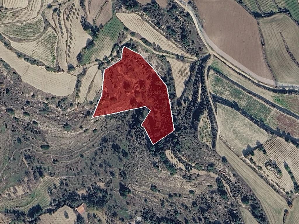 Field - Letymvou, Paphos