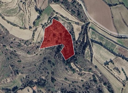 Letymvou, Paphos Agricultural Field For Sale | WW31430