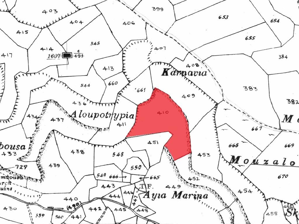 Field - Letymvou, Paphos