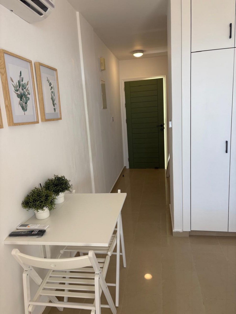 Studio For Rent  in  Peyia