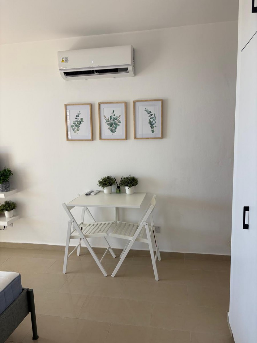 Studio For Rent  in  Peyia