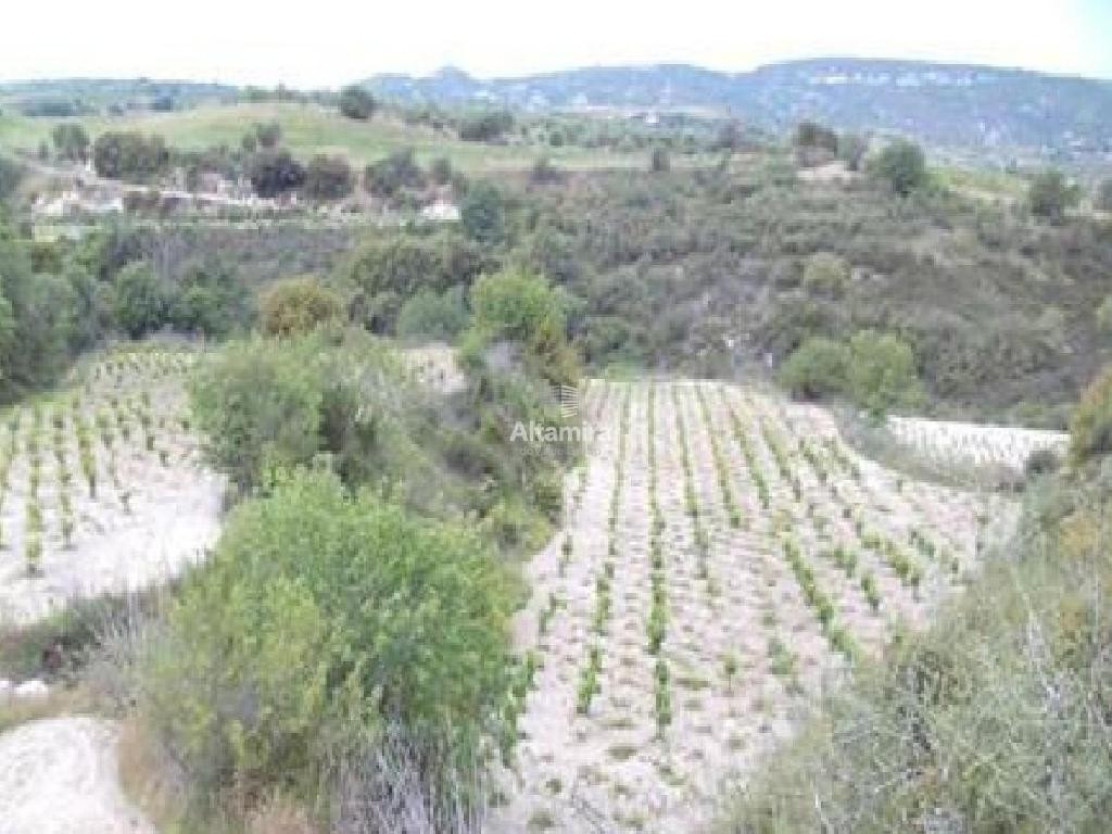 Stroumbi, Paphos Agricultural Field For Sale | WW31452