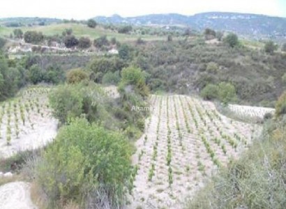 Stroumbi, Paphos Agricultural Field For Sale | WW31452