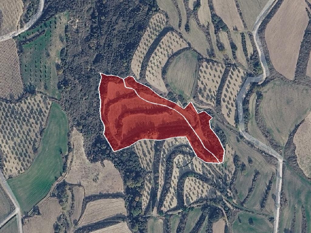 Field - Stroumpi, Paphos