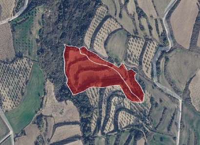 Stroumbi, Paphos Agricultural Field For Sale | WW31452