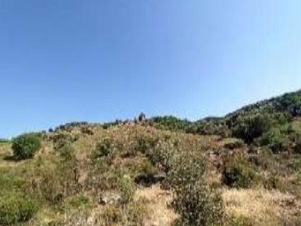 Kelokedara, Paphos Agricultural Field For Sale | WW31453