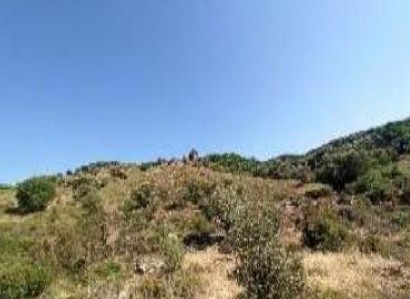 Kelokedara, Paphos Agricultural Field For Sale | WW31453