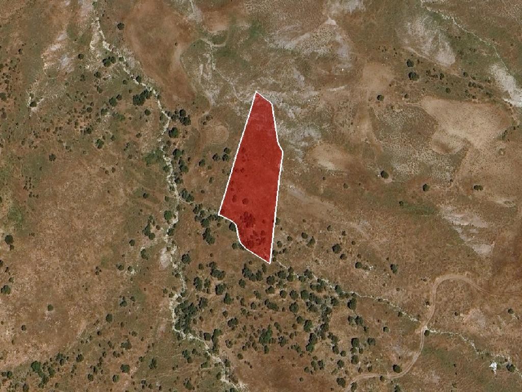Field - Kelokedara, Paphos