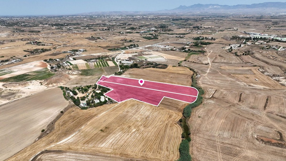 Two adjacent agricultural fields in Pano Deftera, Nicosia