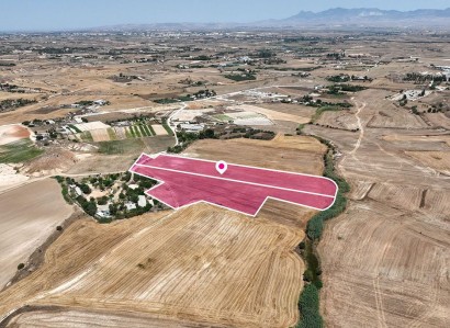 Deftera, Nicosia Agricultural Field For Sale | WW31463