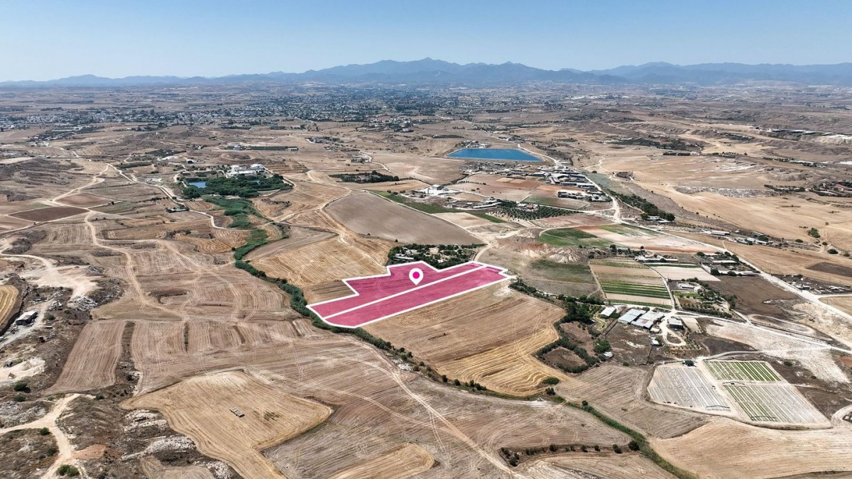 Two adjacent agricultural fields in Pano Deftera, Nicosia
