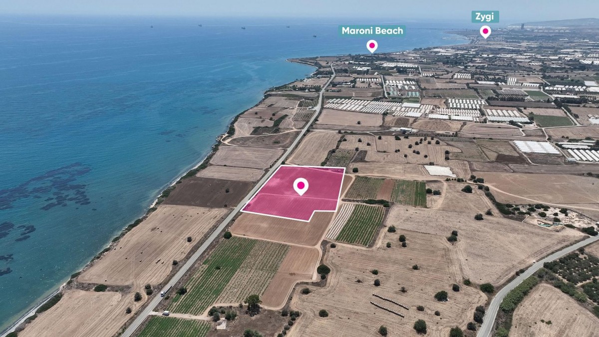 Field in Maroni, Larnaca