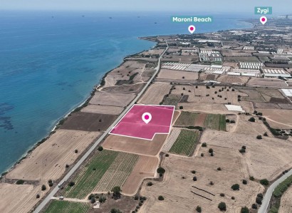 Maroni, Larnaca Agricultural Field For Sale | WW31464