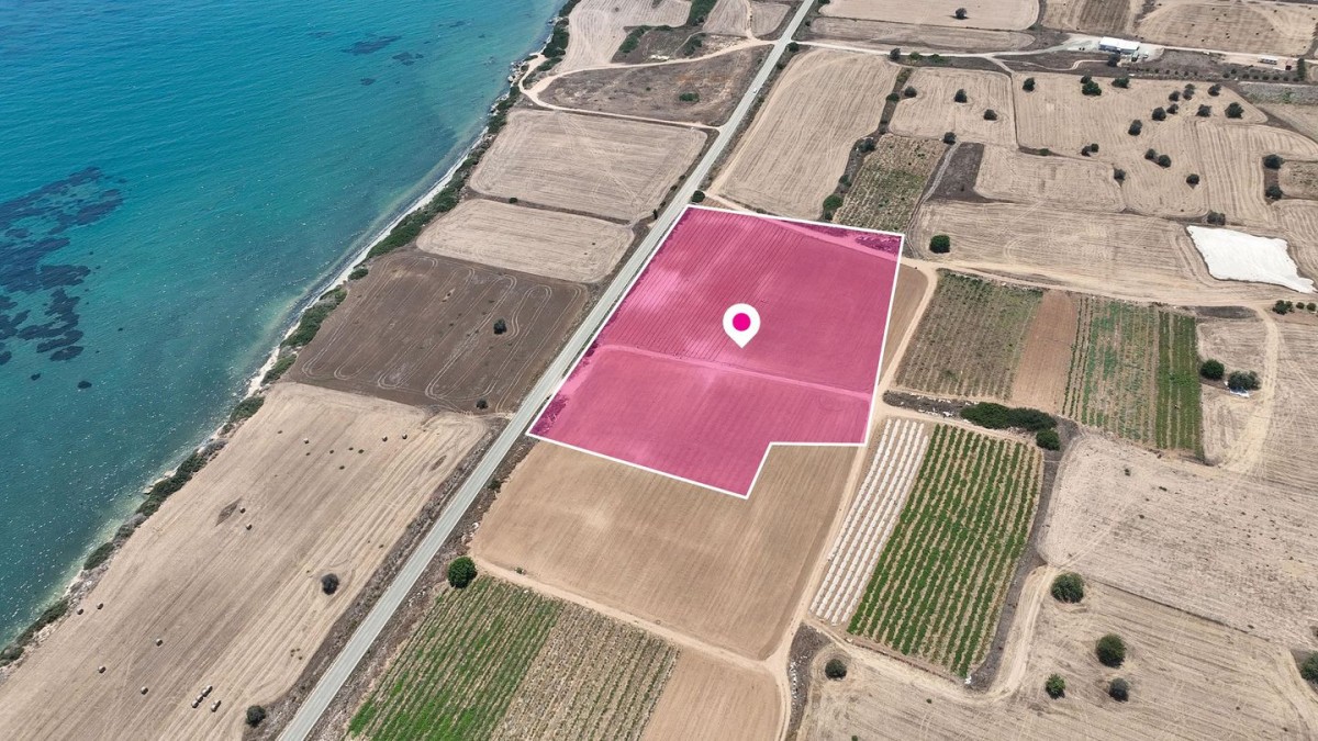 Field in Maroni, Larnaca