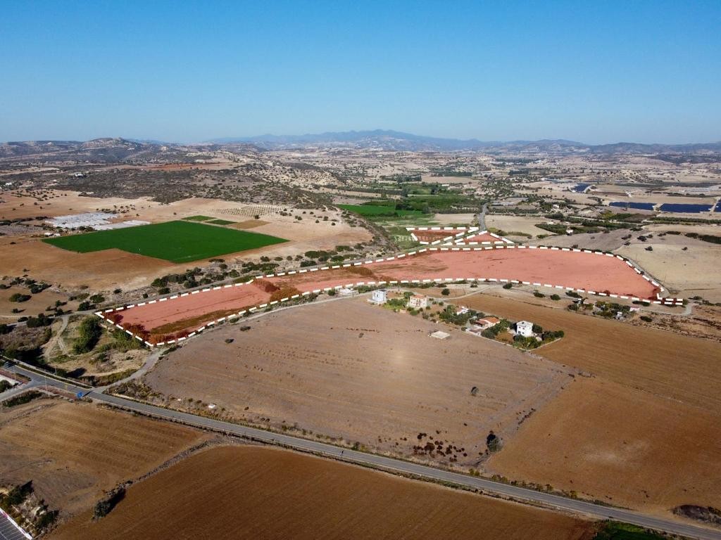Field - Alaminos, Larnaca