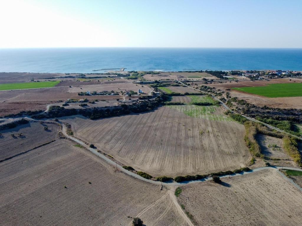 Field - Alaminos, Larnaca