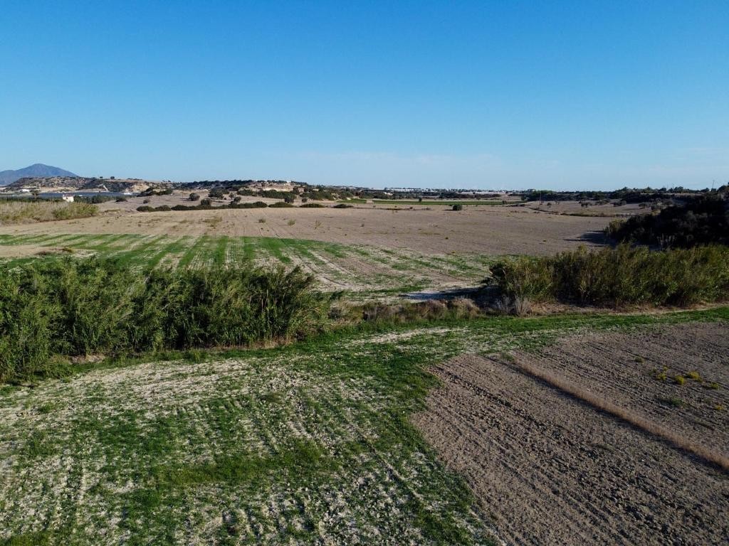 Field - Alaminos, Larnaca
