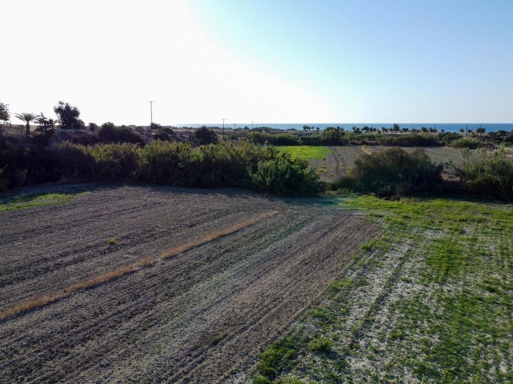 Field - Alaminos, Larnaca