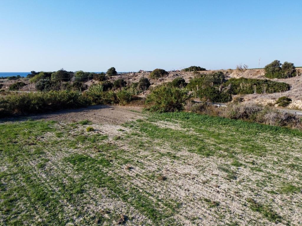 Field - Alaminos, Larnaca