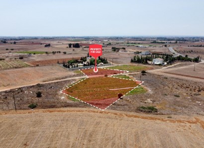 Frenaros, Famagusta Industrial Field For Sale | WW31489