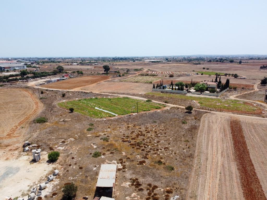 Field - Frenaros, Famagusta