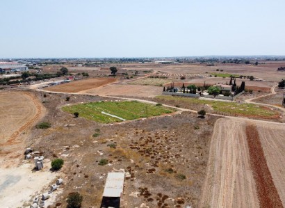 Frenaros, Famagusta Industrial Field For Sale | WW31489