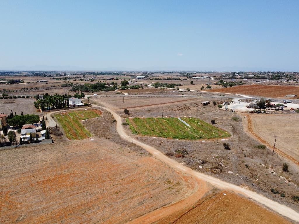 Field - Frenaros, Famagusta