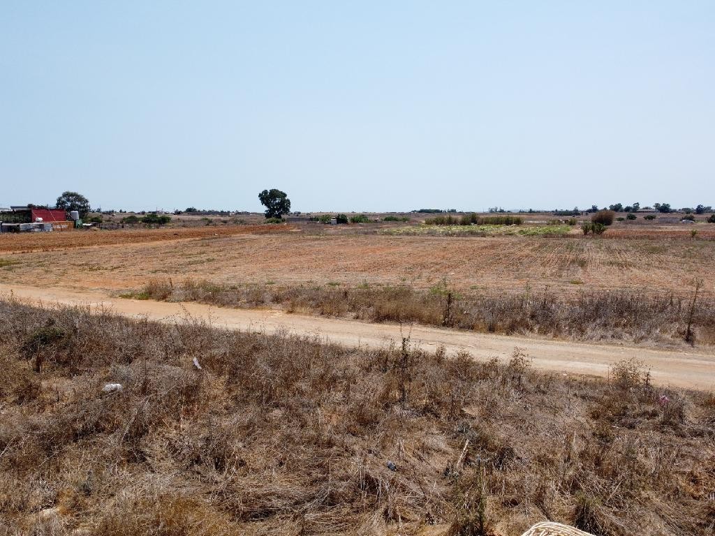 Field - Frenaros, Famagusta